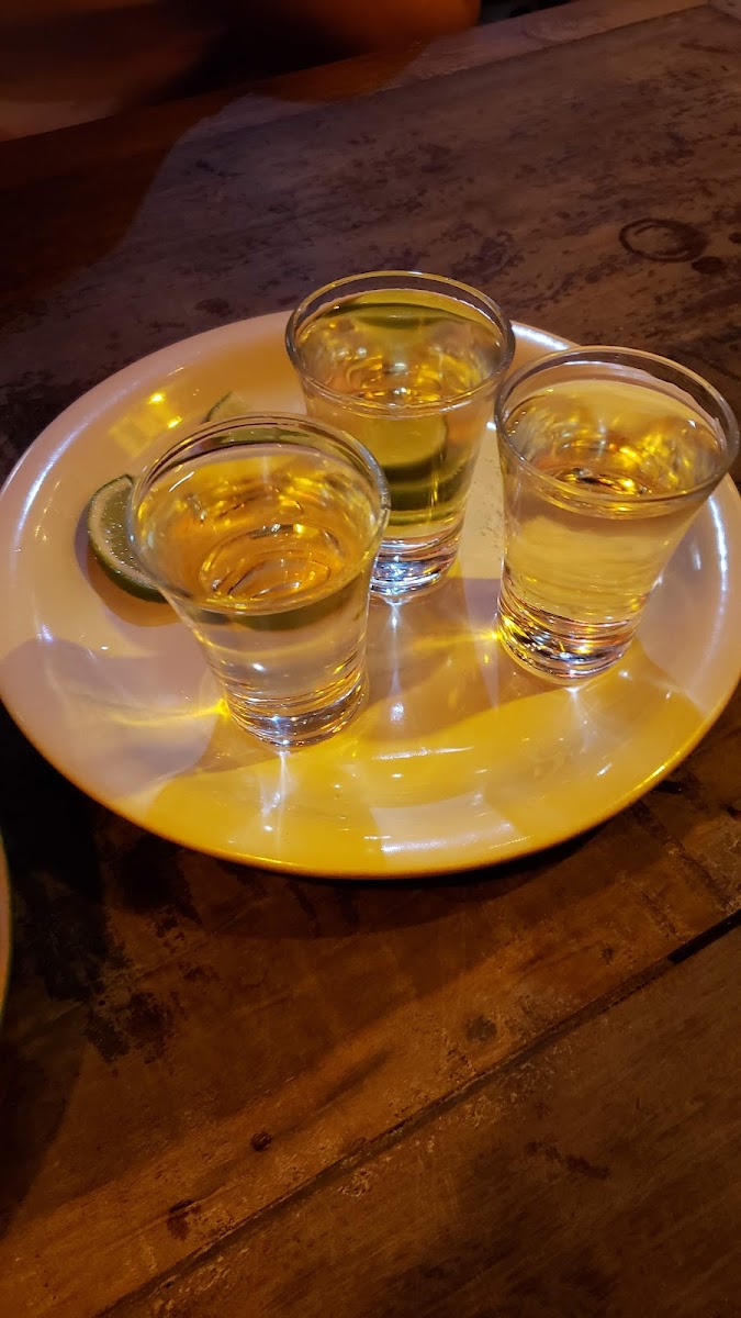 Restaurante Guacamole Cocina Mexicana - Floripa-8